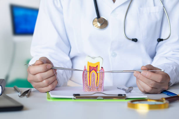 Best Emergency Treatment for Toothache in South Bay, FL